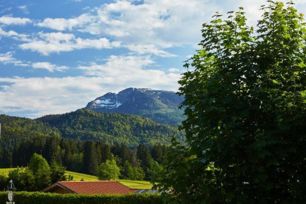 Haus Almrose Villa Reit im Winkl Eksteriør billede